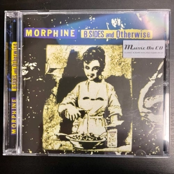 Capa do artigo B-Sides And Otherwise - CD