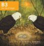 B3 The Adult Eagle - Preview