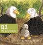 B3 The Baby Eagle - Preview