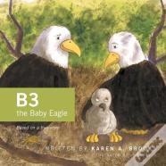 B3 The Baby Eagle