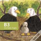 B3 The Baby Eagle