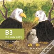Capa do artigo B3 The Baby Eagle