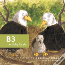 Capa do artigo B3 The Baby Eagle