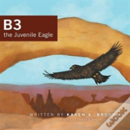 B3 The Juvenile Eagle