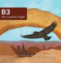 B3 The Juvenile Eagle - Preview