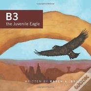 B3 The Juvenile Eagle