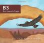 B3 The Juvenile Eagle - Preview