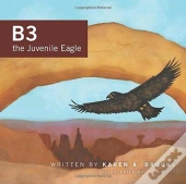 B3 The Juvenile Eagle
