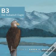 B3 The Subadult Eagle