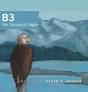 B3 The Subadult Eagle - Preview