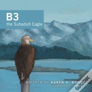 B3 The Subadult Eagle