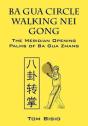 Ba Gua Circle Walking Nei Gong - Preview