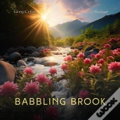 Capa do artigo Babbling Brook