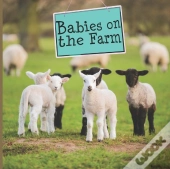 Babies On The Farm