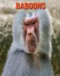 Baboons - Preview