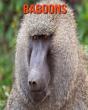 Baboons - Preview