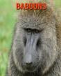 Baboons - Preview