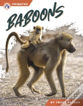 Baboons