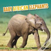 Baby African Elephants