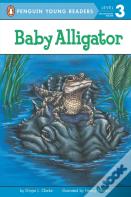Baby Alligator