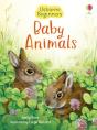 Baby Animals - Preview
