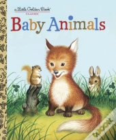 Baby Animals