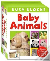 Baby Animals