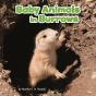 Baby Animals In Burrows - Preview