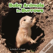 Capa do artigo Baby Animals In Burrows