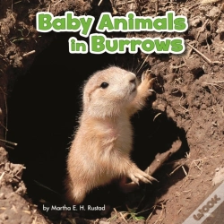 Capa do artigo Baby Animals In Burrows