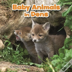 Capa do artigo Baby Animals In Dens