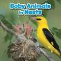 Baby Animals In Nests - Preview