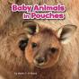 Baby Animals In Pouches - Preview