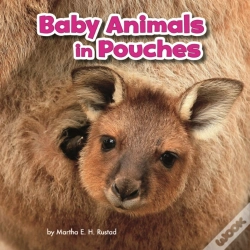 Capa do artigo Baby Animals In Pouches