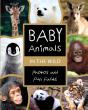 Baby Animals In The Wild - Preview