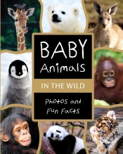 Capa do artigo Baby Animals In The Wild