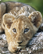 Baby Animals - Preview