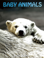 Baby Animals - Preview