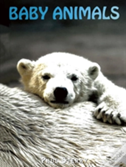 Capa do artigo Baby Animals