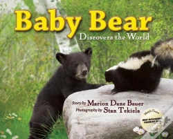 Capa do artigo Baby Bear Discovers The World