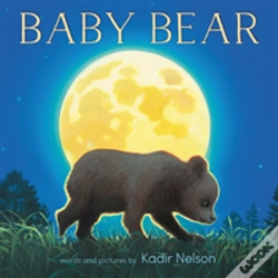 Capa do artigo Baby Bear