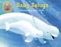 Baby Beluga - Preview