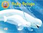 Baby Beluga - Preview