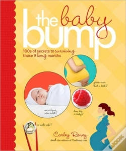 Capa do artigo Baby Bump
