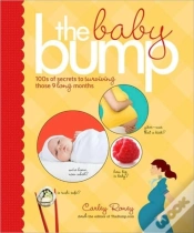 Capa do artigo Baby Bump