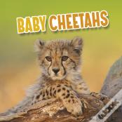 Baby Cheetahs