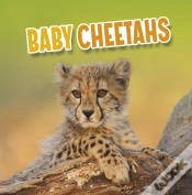 Capa do artigo Baby Cheetahs