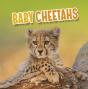 Baby Cheetahs - Preview