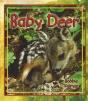 Baby Deer - Preview