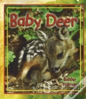 Capa do artigo Baby Deer